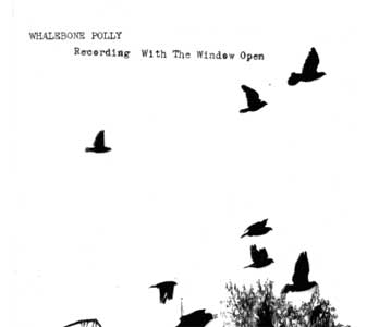 WHALEBONE POLLY / RECORDINGS WITH THE WINDOW OPEN